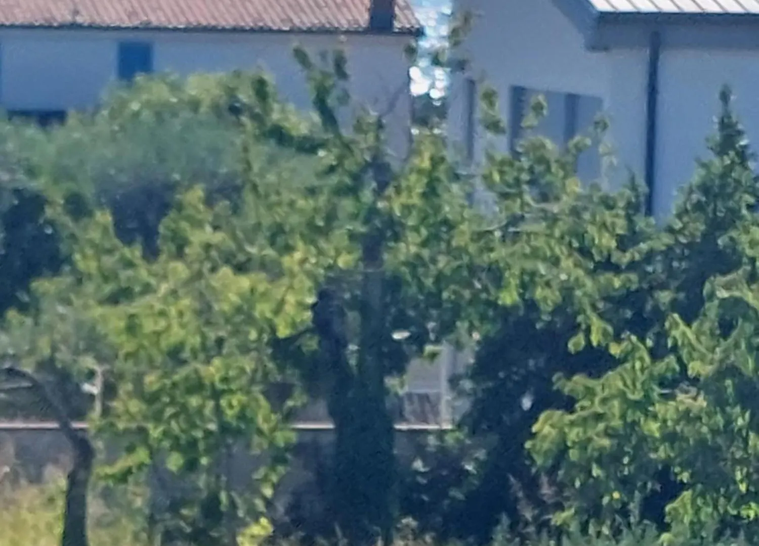 Apartman Lu Umag 0*,